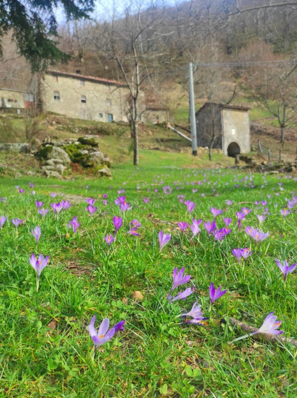 Il tempo fino al primo giorno di primavera Giornale di Barga